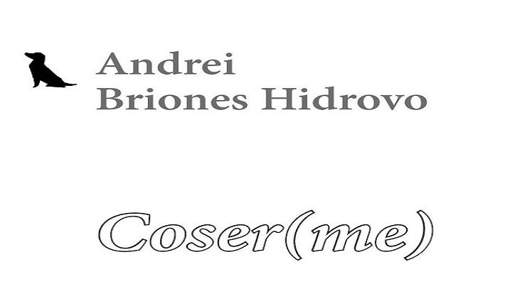 Fragmento de la cubierta de la obra